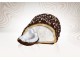 Protein Bueno Coconut (balené po 3 porciách)